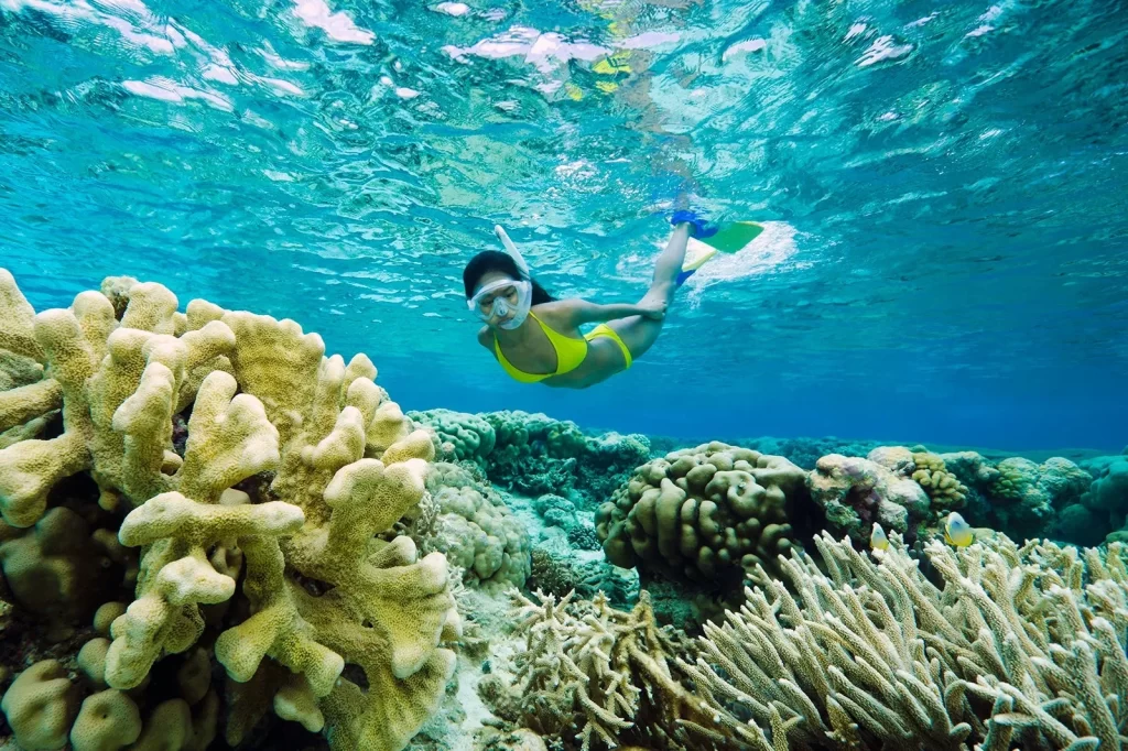 Snorkeling on a Boracay Island Hopping