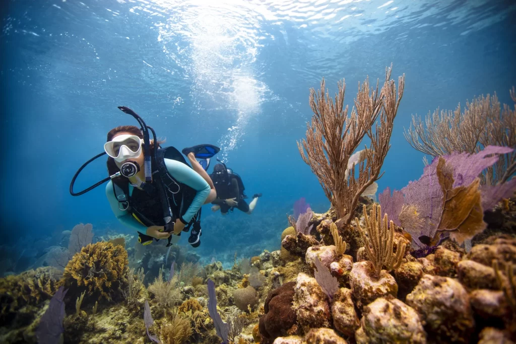 Advance open diver looking over the soft and hard corals of Balinghai Wall