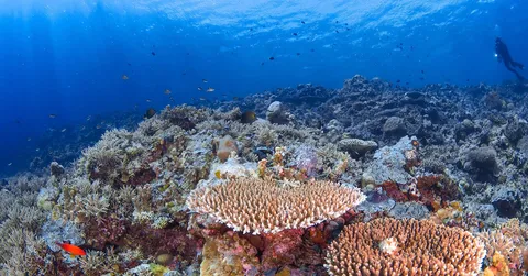 Snorkeling around Boracay Island Philippines: Your Ultimate Guide