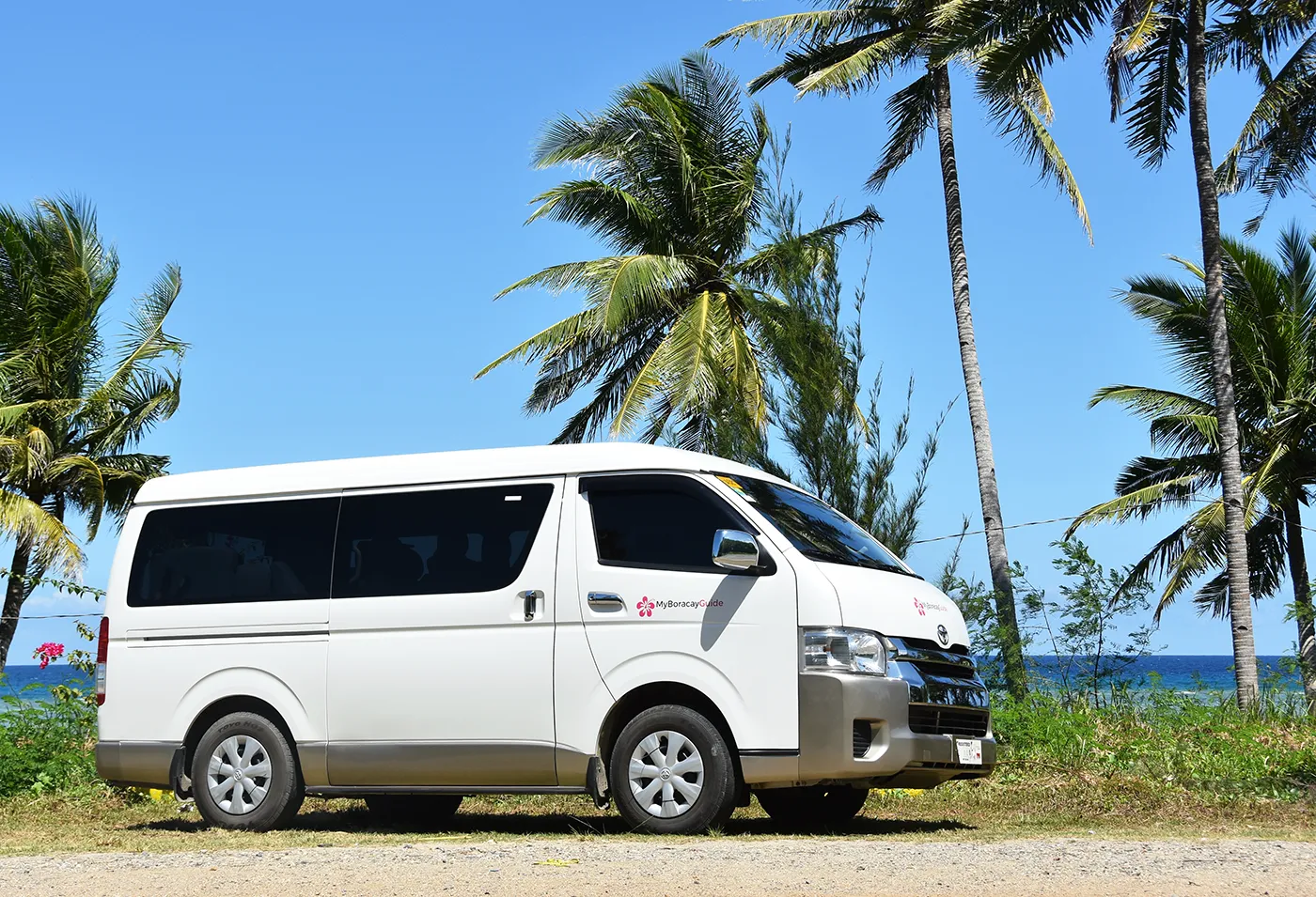 First Class private van under palm trees