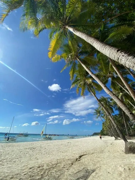 Boracay Coco Huts, Boracay — Photo 10
