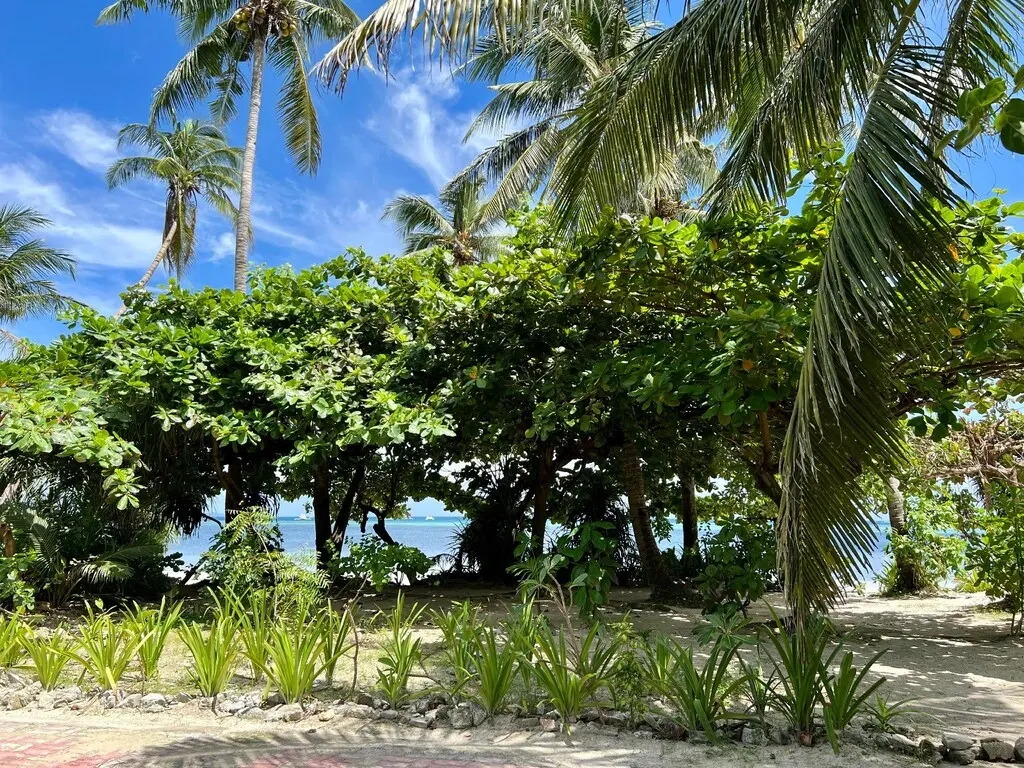 Wind Riders Inn and Cafe, Balabag, Boracay — Photo 5
