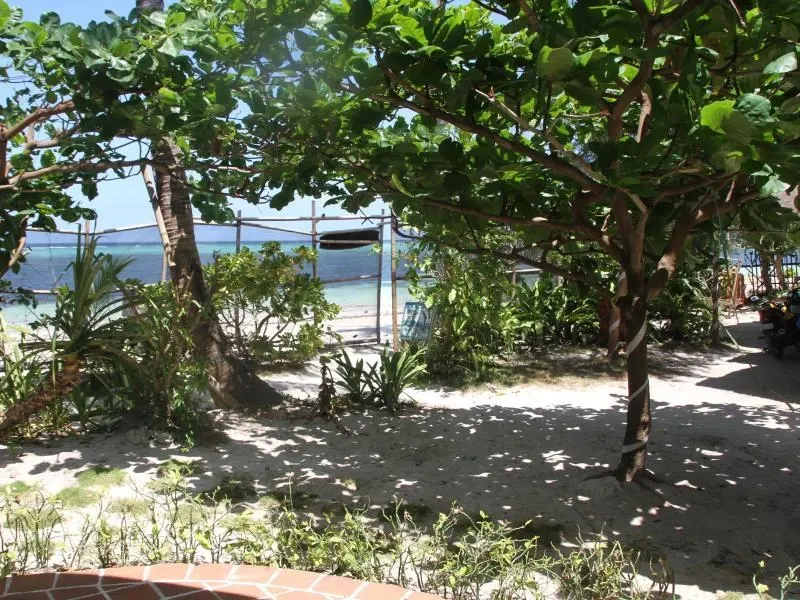 Wind Riders Inn and Cafe, Balabag, Boracay — Photo 9
