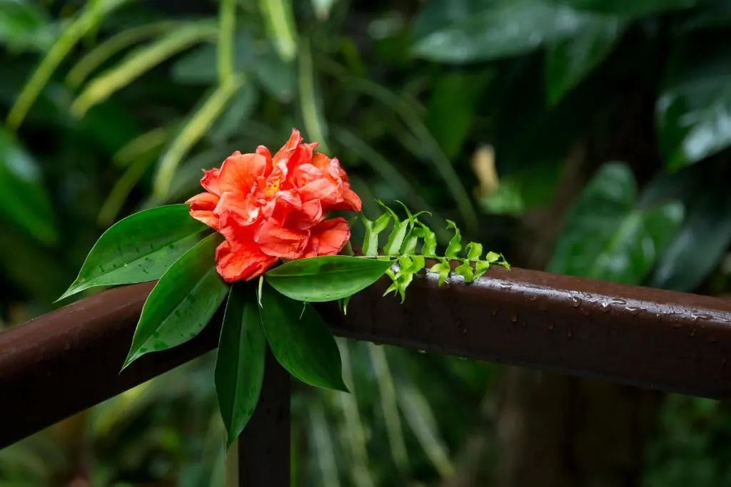 Garden Villa at Mandala Spa & Resort Villas, Boracay