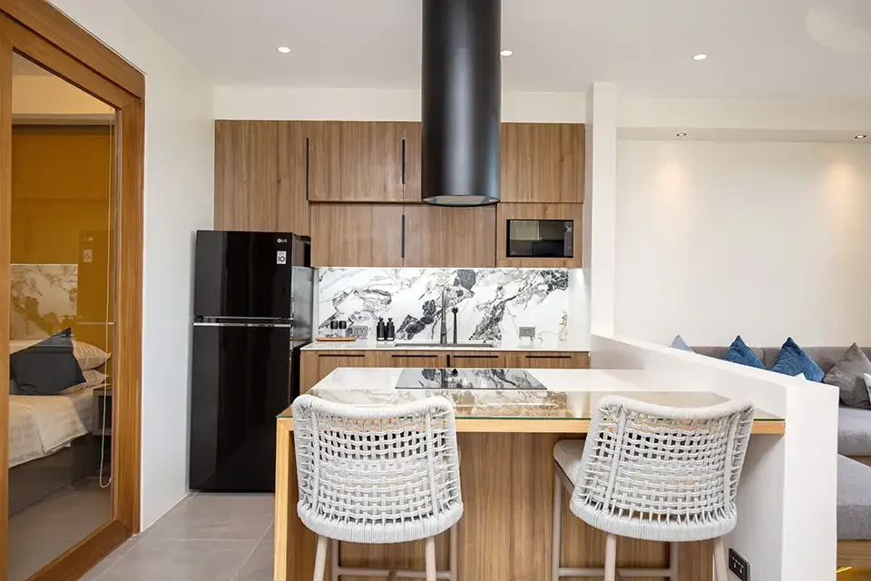 One Bedroom Suite 1C