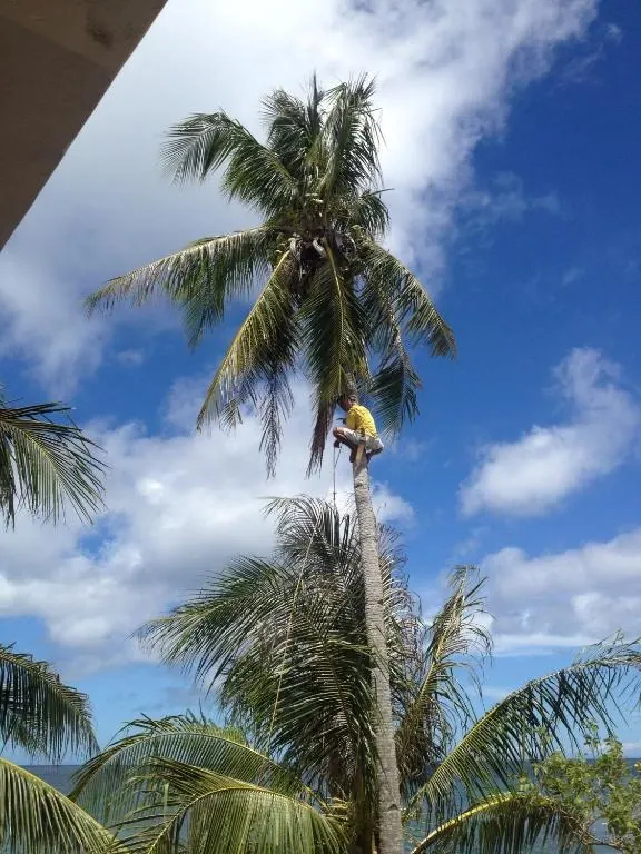 The Beach House Carabao Island, Lanas, Boracay — Photo 1