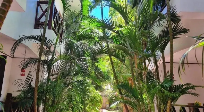 Standard Condo at Nirvana Beach Resort, Boracay