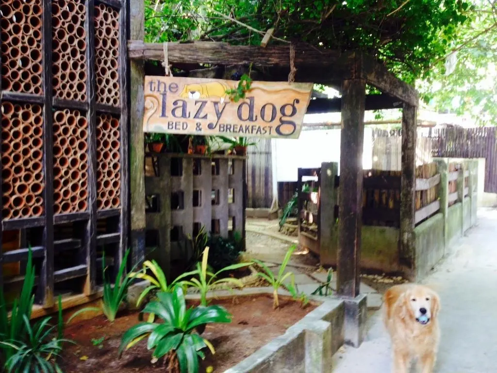 The Lazy Dog Bed & Breakfast, Balabag, Boracay — Photo 1