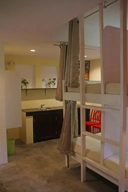 Mixed Dormitory Room at The Lazy Dog Bed & Breakfast, Balabag, Boracay